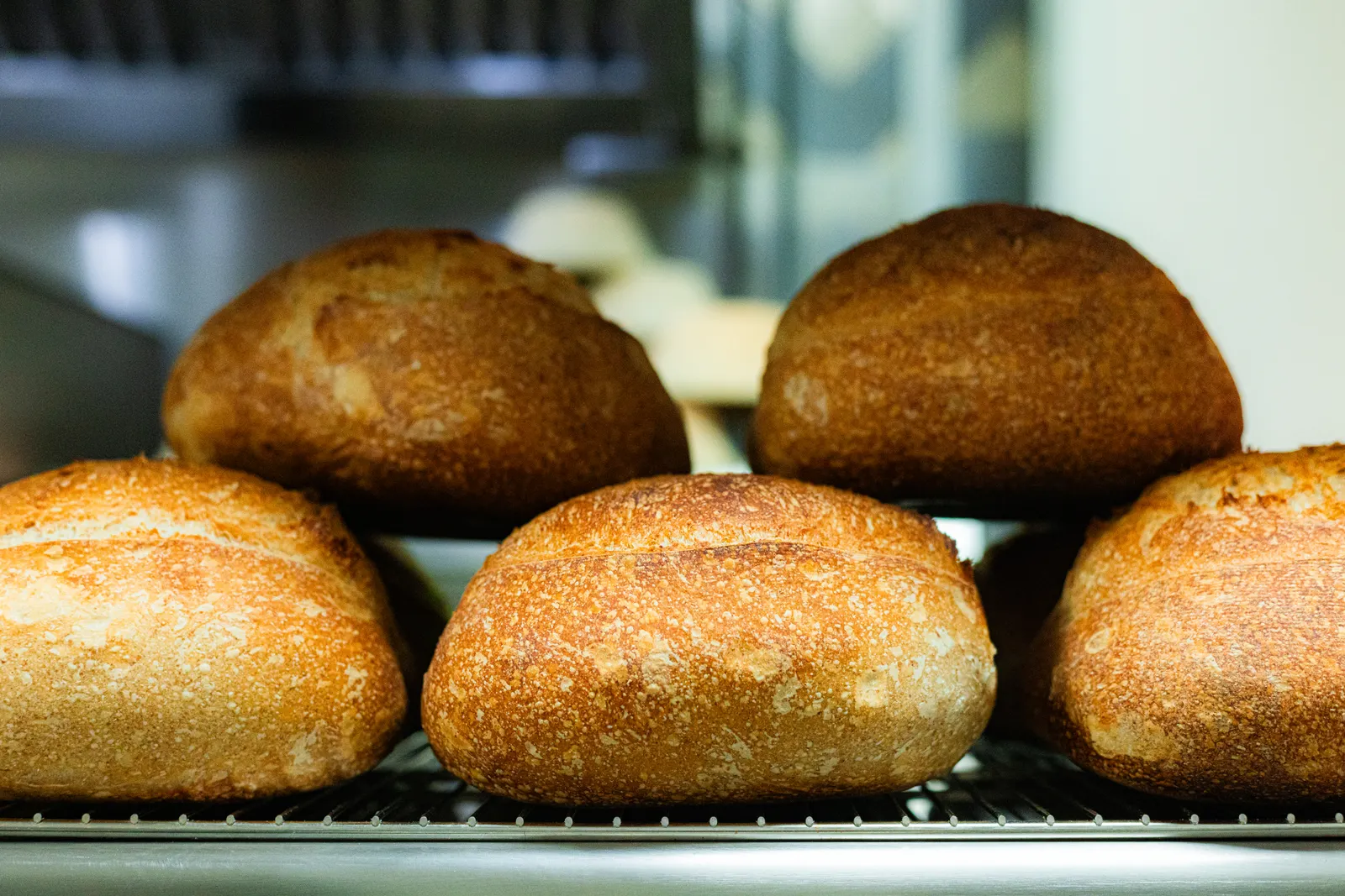 Sourdough loaves cooling