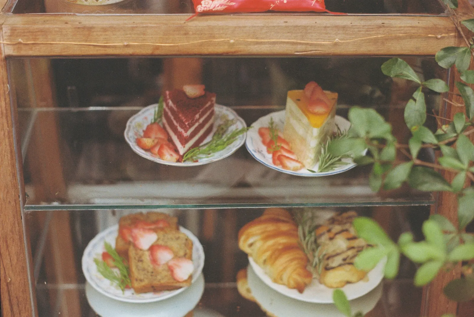 Cakes and slices in the display case